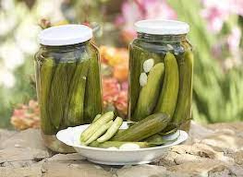 تصویر 1 از خرید و قیمت خیار شور ترد خوشمزه + فروش صادراتی